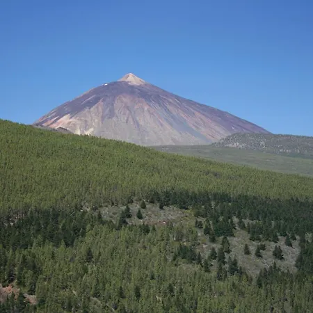 Apartament Jungle Paradise *