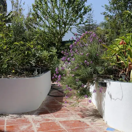 Apartament Jungle Paradise