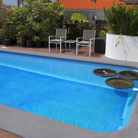 Jungle Paradise Apartament