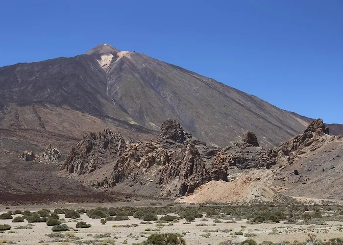 Jungle Paradise Appartement *