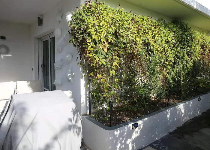 Appartement Jungle Paradise