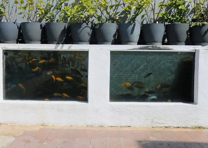 Appartement Jungle Paradise *