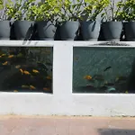 Apartman Jungle Paradise *