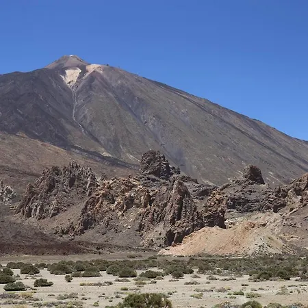 Jungle Paradise Apartment *
