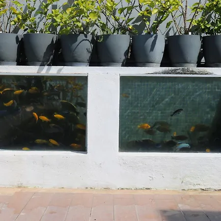 Διαμέρισμα Jungle Paradise *