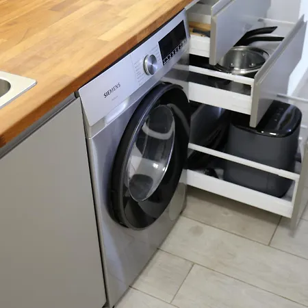 Daire Jungle Paradise *