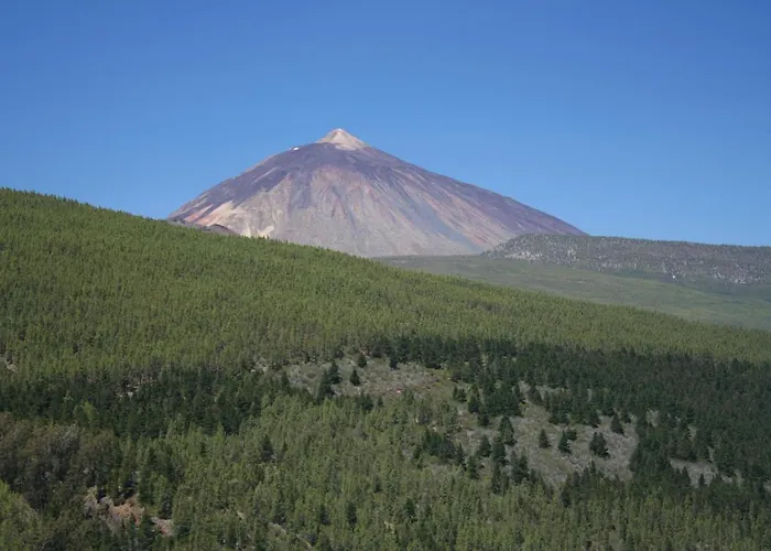 아파트 Jungle Paradise *