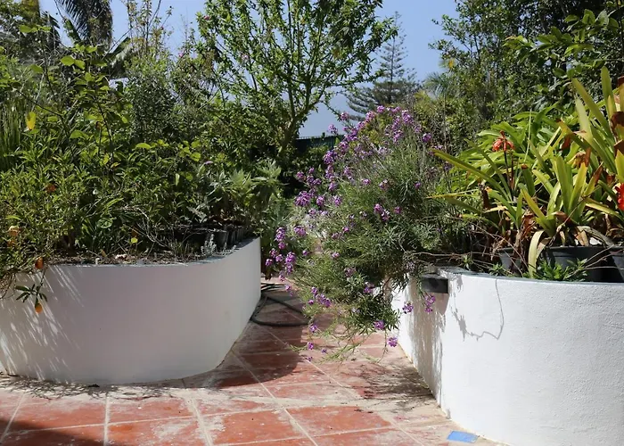 Apartment Jungle Paradise