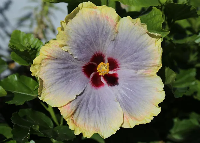 Jungle Paradise Lägenhet *