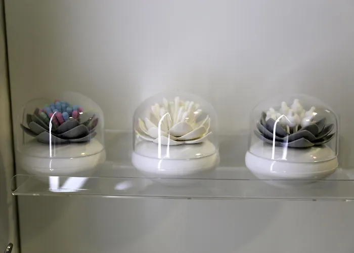 아파트 Jungle Paradise *