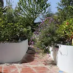 Lejlighed Jungle Paradise