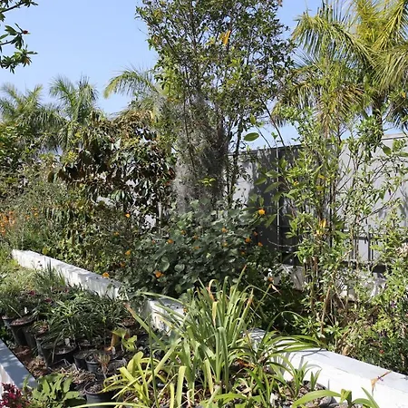 Jungle Paradise *